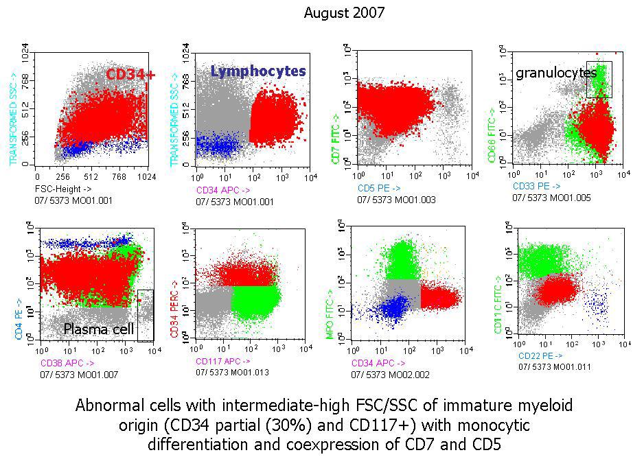 C:\Documents and Settings\hoh20\Escritorio\Flow cytometry.JPG